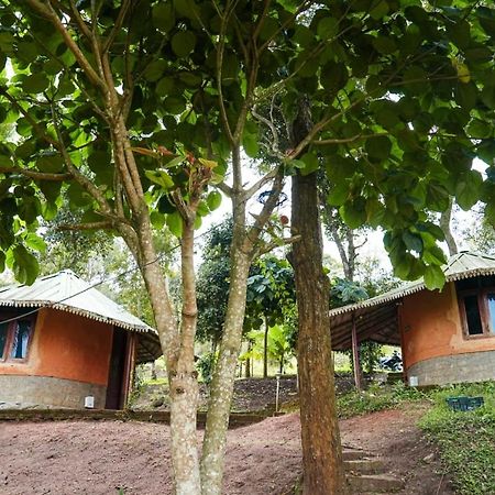 Punarjani Ayurvedic Resorts Ramakkalmedu Ngoại thất bức ảnh