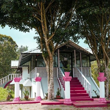 Punarjani Ayurvedic Resorts Ramakkalmedu Ngoại thất bức ảnh