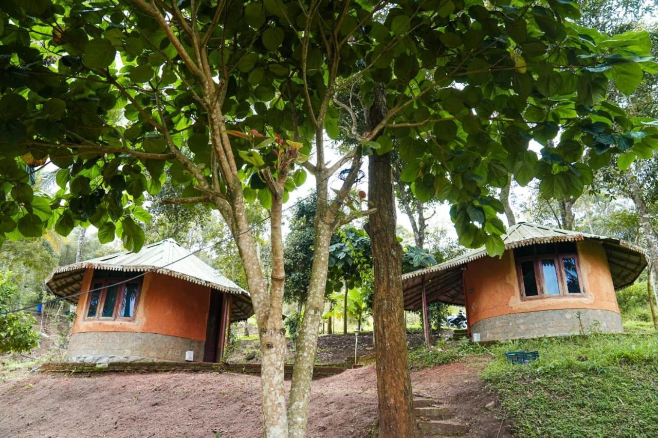 Punarjani Ayurvedic Resorts Ramakkalmedu Ngoại thất bức ảnh