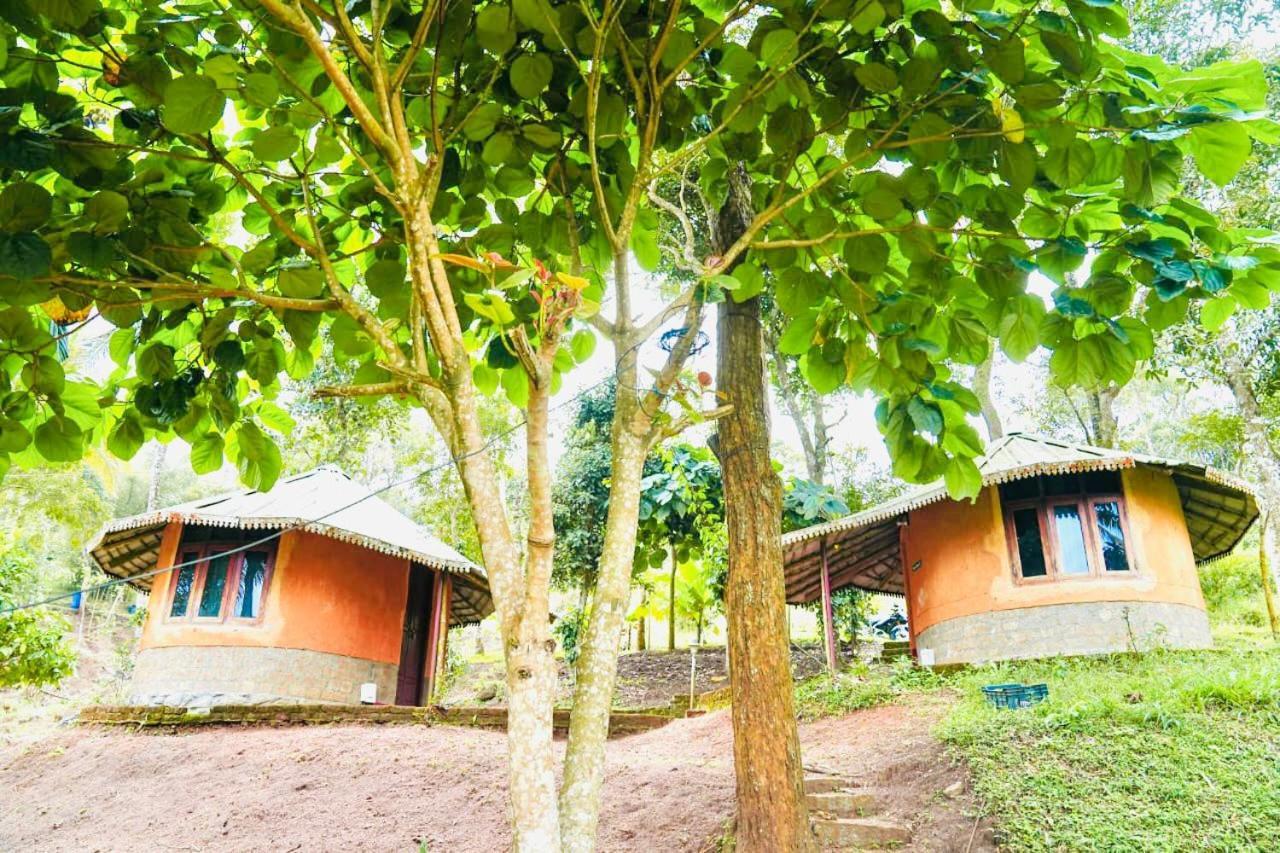 Punarjani Ayurvedic Resorts Ramakkalmedu Ngoại thất bức ảnh