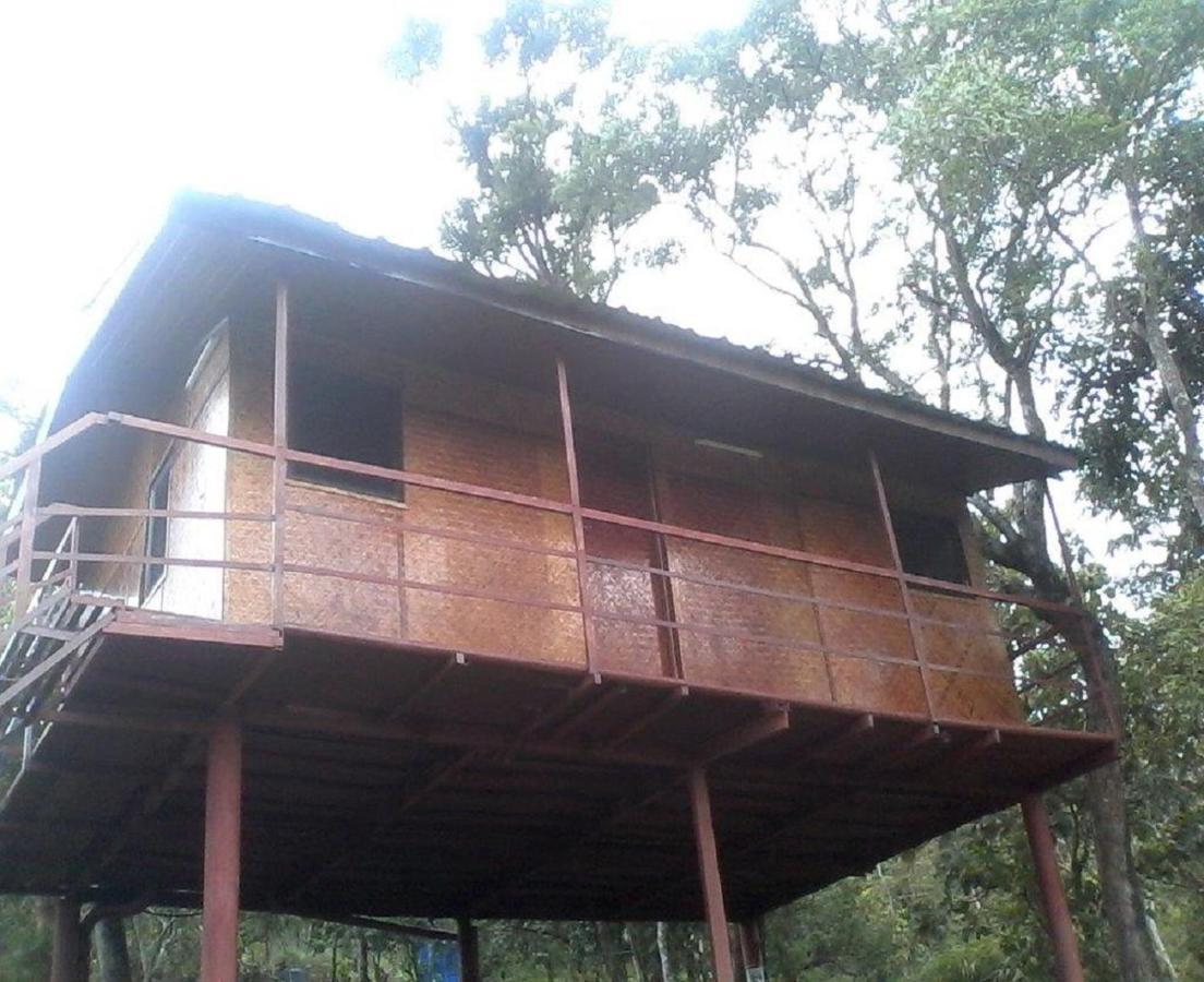 Punarjani Ayurvedic Resorts Ramakkalmedu Ngoại thất bức ảnh