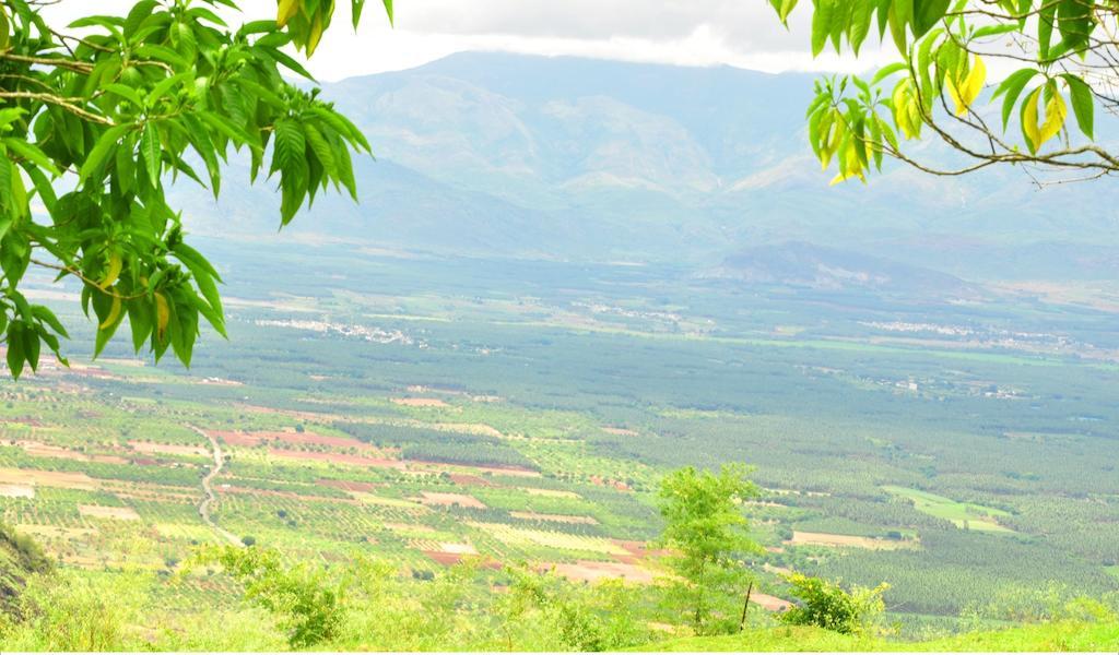 Punarjani Ayurvedic Resorts Ramakkalmedu Ngoại thất bức ảnh
