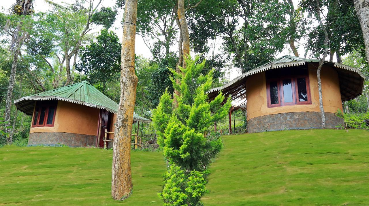 Punarjani Ayurvedic Resorts Ramakkalmedu Ngoại thất bức ảnh