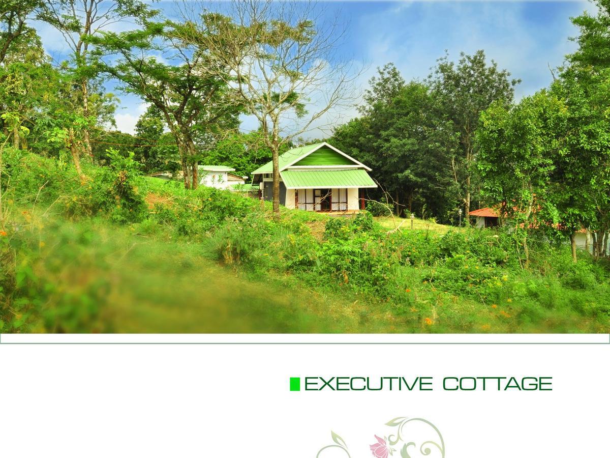 Punarjani Ayurvedic Resorts Ramakkalmedu Ngoại thất bức ảnh