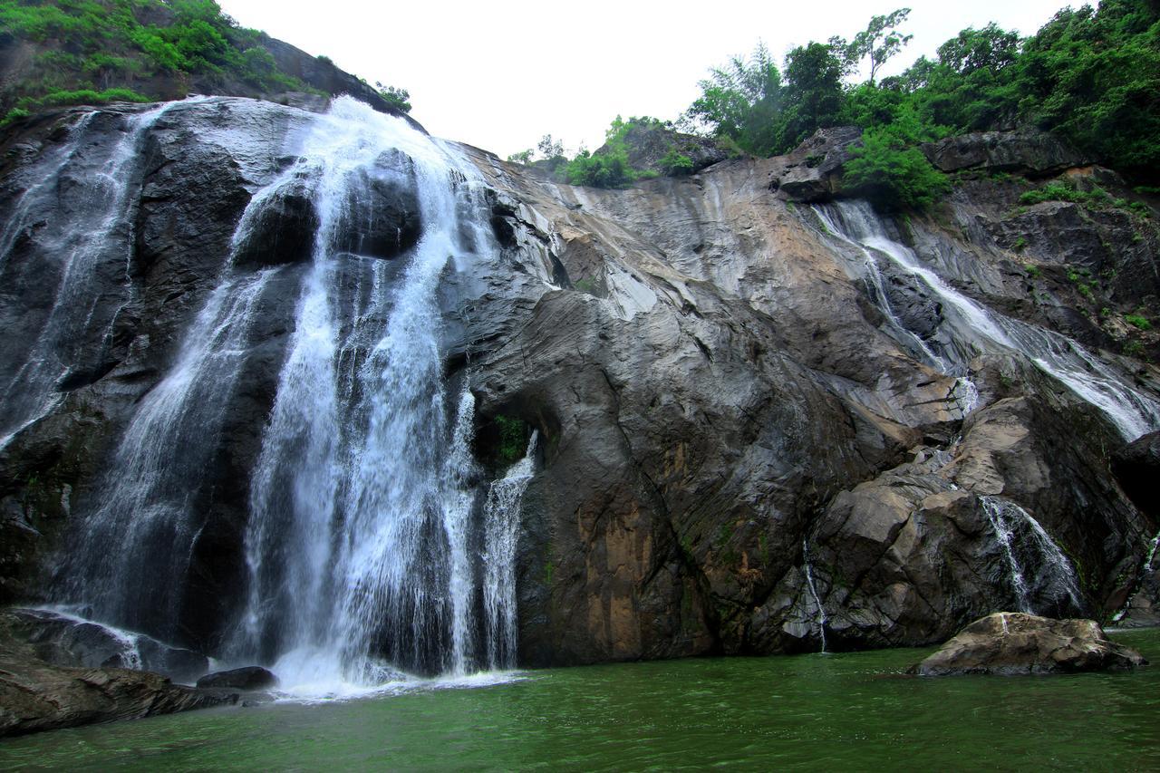 Punarjani Ayurvedic Resorts Ramakkalmedu Ngoại thất bức ảnh